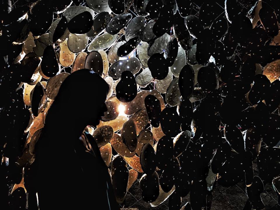 17012458_1552802461416493_1821578715_n